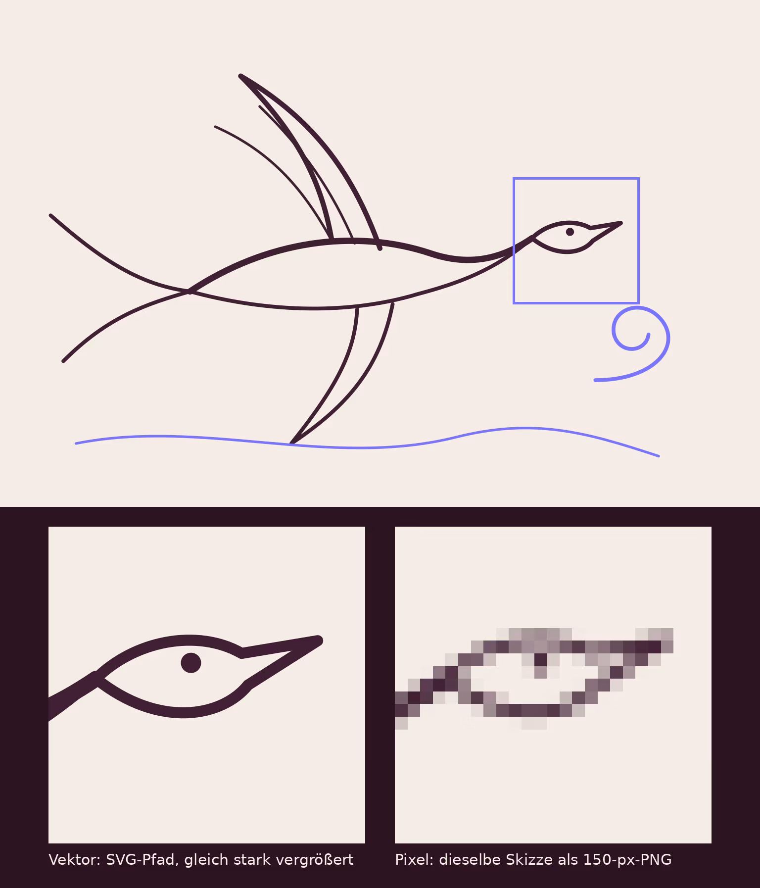 Oben eine einfache Linienskizze einer Schwalbe mit markiertem Kopfbereich, unten links derselbe Ausschnitt als scharfer Vektorpfad stark vergrößert, unten rechts derselbe Ausschnitt aus einer 150 Pixel breiten PNG-Version, bei gleicher Vergrößerung deutlich treppenförmig verpixelt